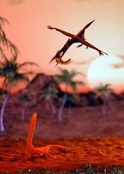 Copertina di Straw-saurus NEO