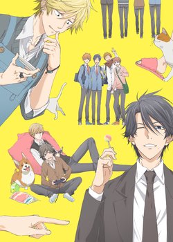 Copertina di Hitorijime My Hero
