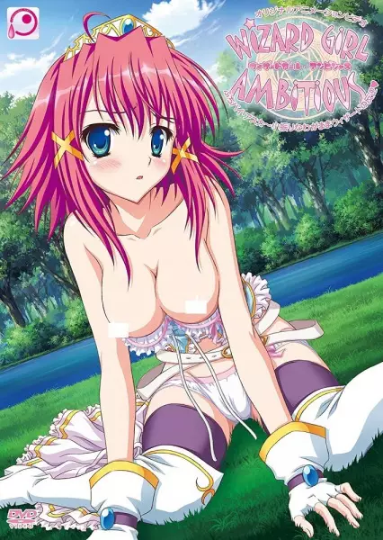 Copertina di Wizard Girl Ambitious