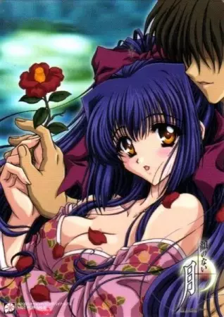 Copertina di Moonlight Lady