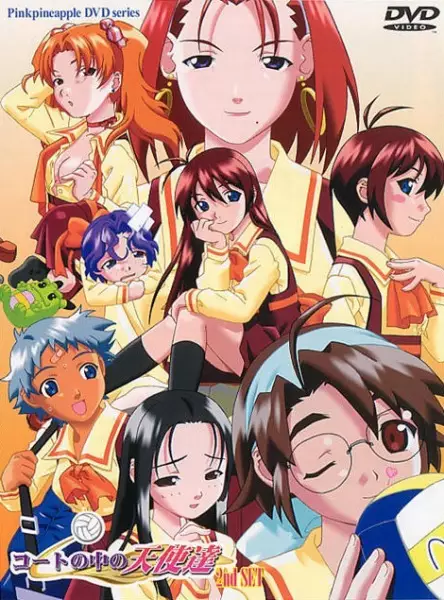 Copertina di Angels in the Court