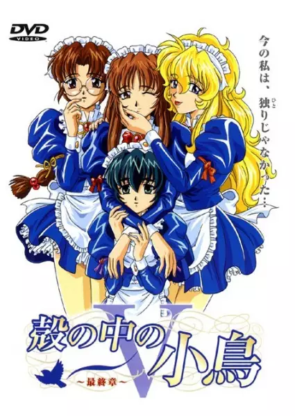 Copertina di The Maiden Diaries