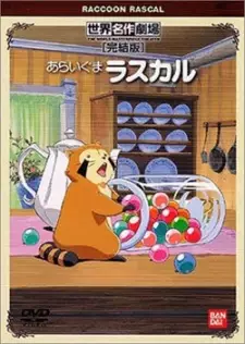 Copertina di Raccoon Rascal