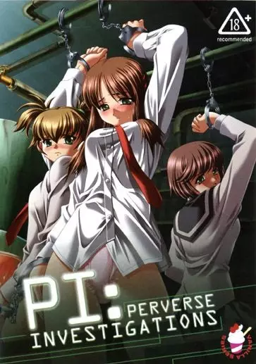 Copertina di Perverse Investigations