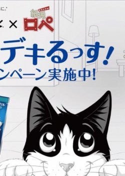 Copertina di Felix x Kamiusagi Rope