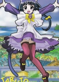 Copertina di Magical Meow Meow Taruto