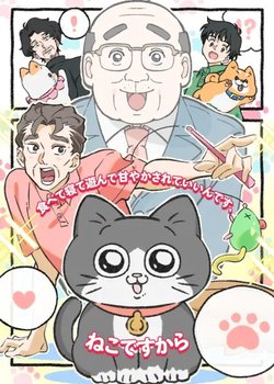 Copertina di Neko ni Tensei Shita Ojisan