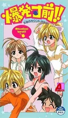 Copertina di Countdown to Delight