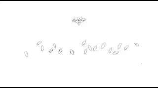 Copertina di Fantasy