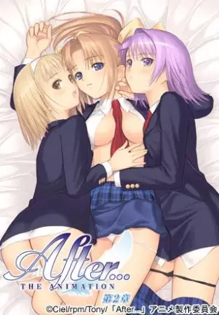 Copertina di After... The Animation