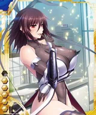 Copertina di Taimanin Yukikaze Special