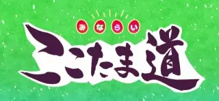 Copertina di Kamisama Minarai: Himitsu no Cocotama - Minarai Cocotama-dou