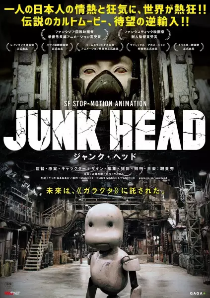 Copertina di Junk Head