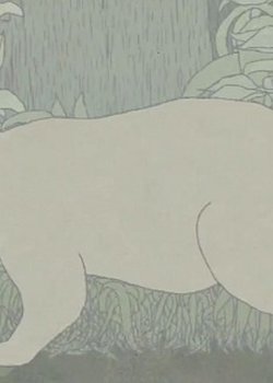 Copertina di Anomalies