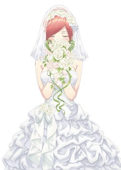 Copertina di The Quintessential Quintuplets