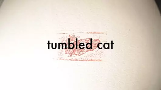 Copertina di Tumbled Cat