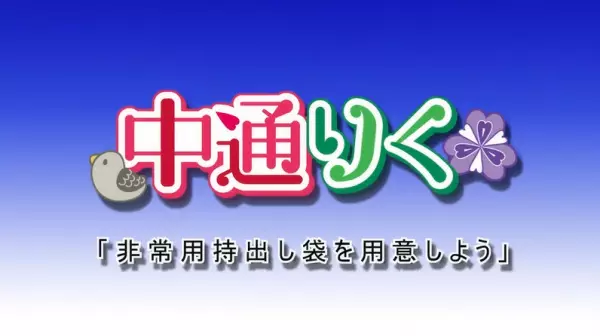 Copertina di Nakado Riku Animation: Hijouyou Mochidashi Bukuro wo Youi Shiyou