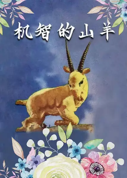 Copertina di Jizhi de Shanyang