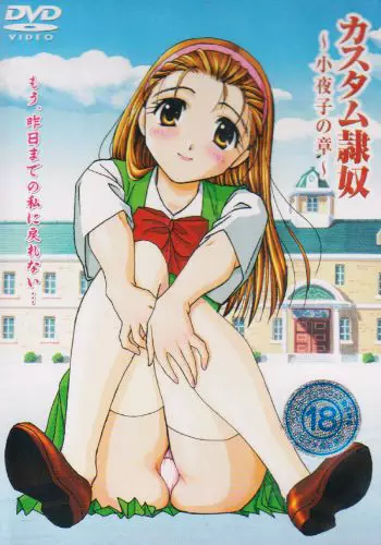 Copertina di Custom Slave