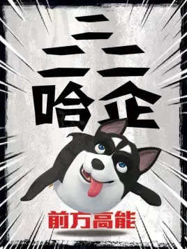 Copertina di Er Er Er Ha Qi