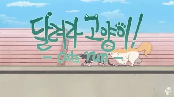 Copertina di Cats Run