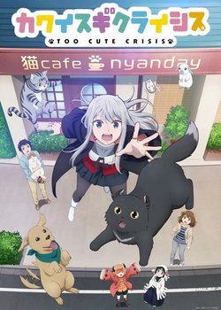 Copertina di Too Cute Crisis