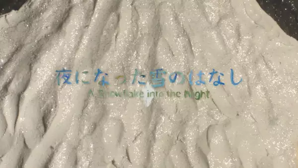 Copertina di A Snowflake into the Night