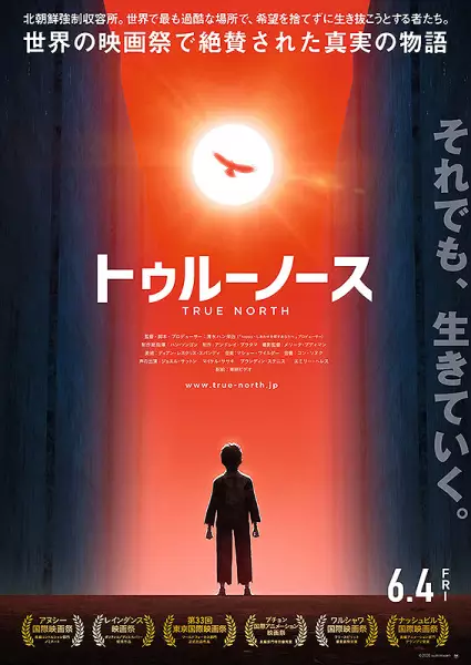 Copertina di True North