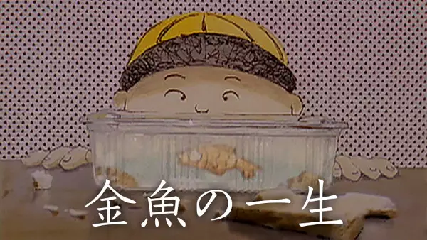 Copertina di Short and Happy Life of a Goldfish