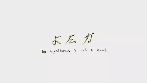 Copertina di The Nighthawk Is Not a Hawk