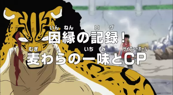 Copertina di One Piece: The Log of the Rivalry! The Straw Hats vs. Cipher Pol