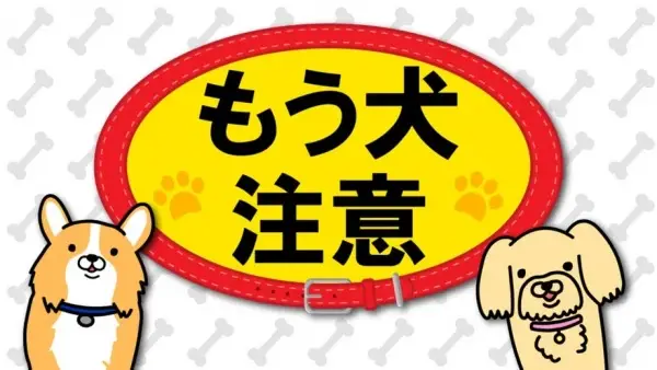 Copertina di Mou Inu Chuui