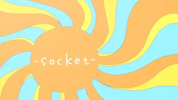 Copertina di -Socket-
