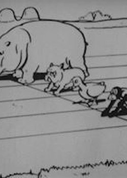 Copertina di The Animal Olympics