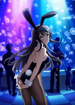 Copertina di Rascal Does Not Dream of Bunny Girl Senpai
