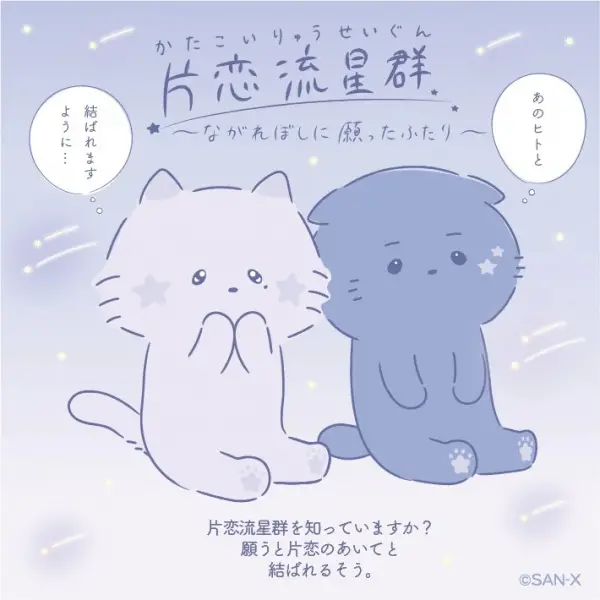 Copertina di Katakoi Meteor Shower