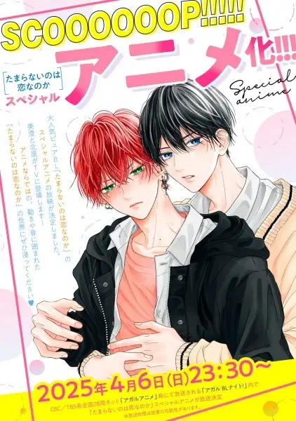 Copertina di Tamaranai no wa Koi nano ka