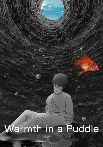 Copertina di Warmth in a Puddle