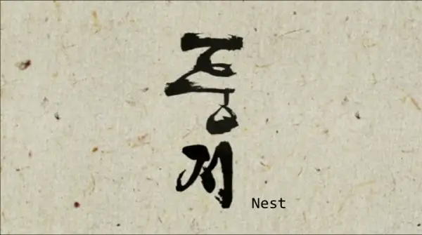 Copertina di Nest