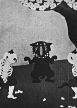 Copertina di The Black Cat