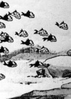 Copertina di Osaru no Tairyou