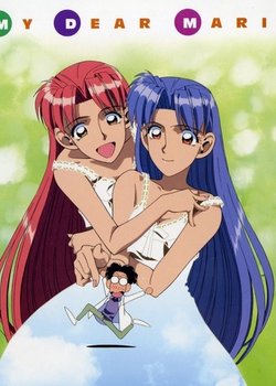 Copertina di My Dear Marie