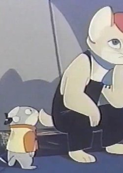 Copertina di Kitty's Studio