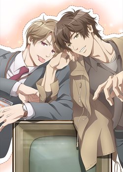 Yes, No, or Maybe Half?