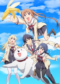 Copertina di AHO-GIRL