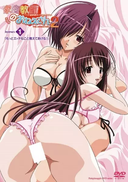 Copertina di Kateikyoushi no Oneesan 2 The Animation: H no Hensachi Agechaimasu