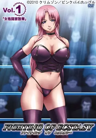 Copertina di Fighting of Ecstasy