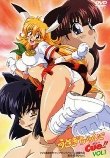 Copertina di Usagi-chan de Cue!!