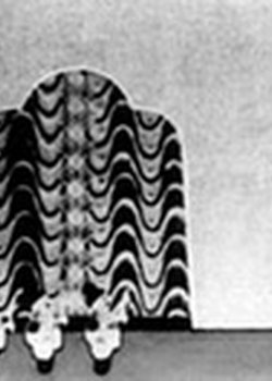 Copertina di Saiyuuki: Son Gokuu Monogatari