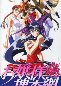 Copertina di Debutante Detective Corps